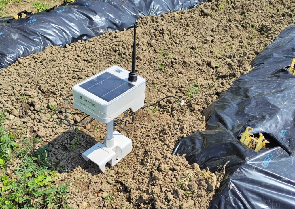 ㈱farmo製 圃場モニタリングセンサーが畑に設置されている様子